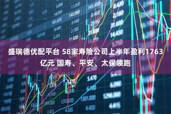 盛瑞德优配平台 58家寿险公司上半年盈利1763亿元 国寿、平安、太保领跑