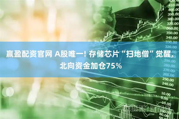 赢盈配资官网 A股唯一! 存储芯片“扫地僧”觉醒, 北向资金加仓75%