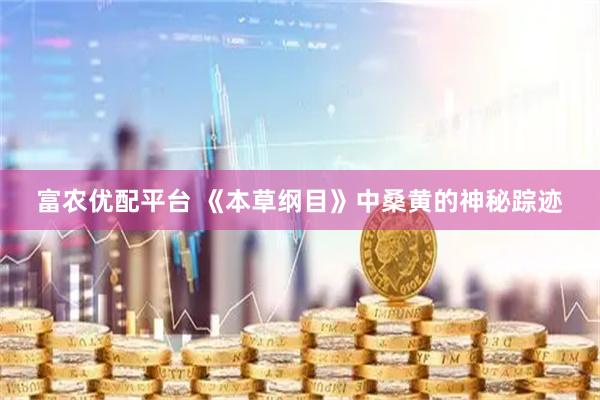 富农优配平台 《本草纲目》中桑黄的神秘踪迹